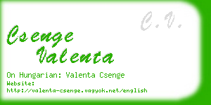 csenge valenta business card
